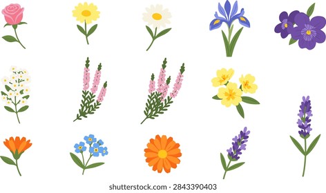Hand-drawn botanical flora elements add a cheerful and natural aesthetic to nature design projects
