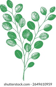 A hand-drawn botanical illustration of eucalyptus in fine detail. Perfect for skincare, herbal packaging, wellness design, and vintage-inspired natural product branding.