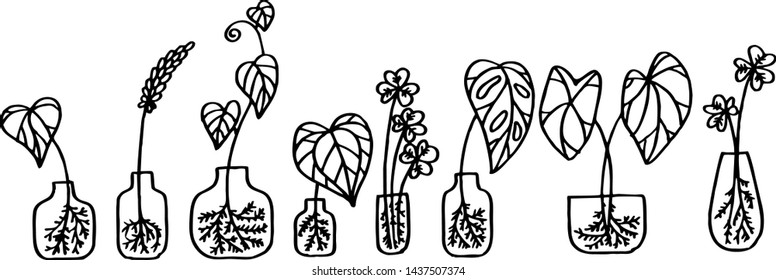 hand-drawn botanical illustration set vector