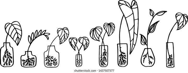 hand-drawn botanical illustration set vector