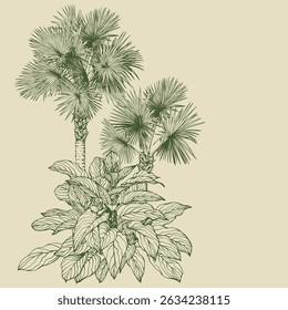 Hand-Drawn Botanical Palm Tree Sketch. Vector Clip Art. Botanical vector perfect for prints, branding, packaging, and modern design projects.