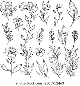 hand-drawn botanical spring elements line art, botanical illustration line drawing, vector sketch artistic simplicity botanical doodle art, Easy botanical drawing, 
vector illustration