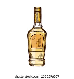 Botella de tequila dibujada a mano. Elemento de diseño para el menú de bares y restaurantes, tiendas de alcohol. Ilustración de boceto de Vector en estilo de grabado. Mexicano, Latina América.