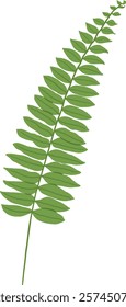 Hand-Drawn of Bracken Fern Illustration