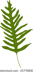 Hand-Drawn of Bracken Fern Illustration