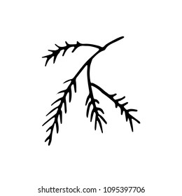 Handdrawn branch doodle icon. Hand drawn black sketch. Sign symbol. Decoration element. White background. Isolated. Flat design. Vector illustration.
