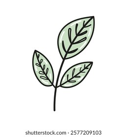 Hand-drawn branch with green leaves doodle and flat illustration

