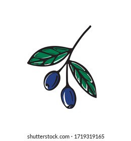 A hand-drawn branch with olives isolated on a white background. Vector illustration in Doodle style