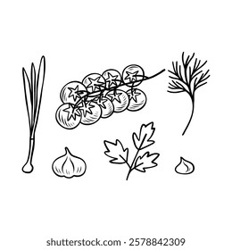 Hand-drawn branch of tomatos, onion, parsley and dill. Vector illustration for cookbook or menu, packaging, stickers, advertising. Vector line drawing