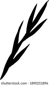 Hand-drawn branch. Vector clip art.