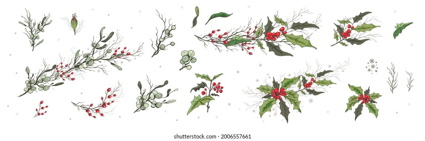 hand-drawn branches, berries with water drops, isolated on a white background. realistic botanical plants.  modern element (Víscum, holly). for holiday card, banner. paper, wallpaper. art vintage syle