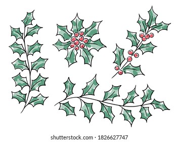 Hand-drawn branches of Christmas holly