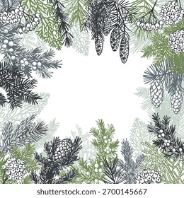 Ramas y conos de coníferas dibujados a mano. Navidades de plantas.  Vector de fondo. Ilustración de boceto.  