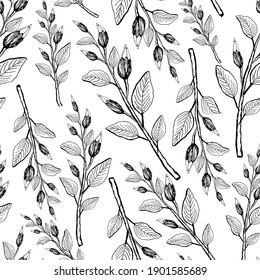 Hand-drawn branches with leaves and flower buds. Monochrome illustration. Vector seamless pattern. Design for fabric, card, print, wrapping.