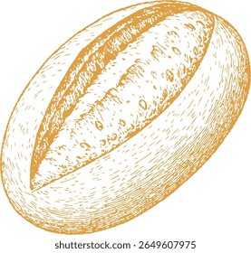 Ilustração de pão desenhado à mão em detalhes finos, com pães artesanais. Perfeito para marca de padaria, receitas, embalagem vintage e design com tema de café.