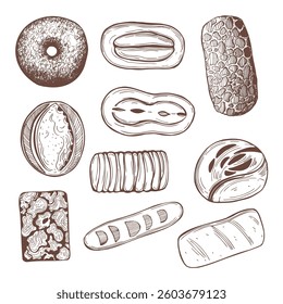 Hand-drawn bread set on white background. Vector sketch illustration. 