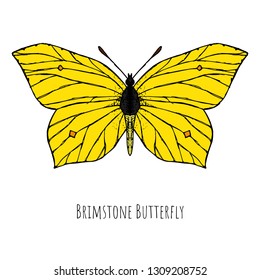 Hand-drawn brimstone butterfly. Isolated object on a white background. Vector cartoon illustration.