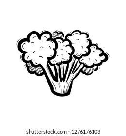 Handdrawn broccoli doodle icon. Hand drawn black sketch. Sign symbol. Decoration element. White background. Isolated. Flat design. Vector illustration.