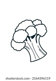 Hand-drawn broccoli doodle, vector format 