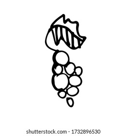 Un montón de uvas hechas a mano. Un boceto simple. Ilustración vectorial de Doodle en blanco y negro