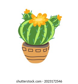 Hand-drawn cactus with flower in pot in doodle style. Exotic and Tropical Plants - Cute design element for children's room, textile, fabric, wallpaper.