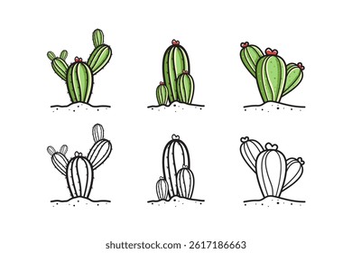 Hand-Drawn Cactus Illustrations With Color And Outline Variations on White Background