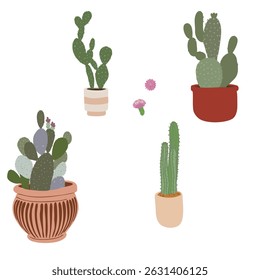 Plantas de cactus dibujadas a mano en maceta