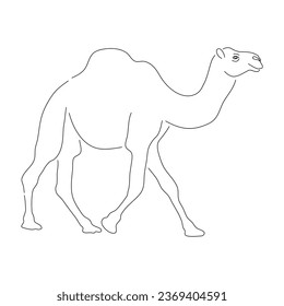Hand-drawn Camel. Vector editable stroke.