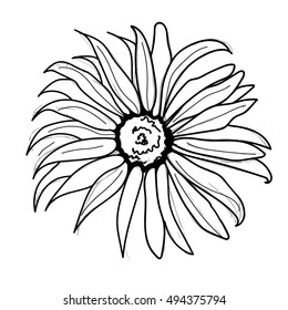 Hand-drawn camomile