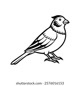 Hand-Drawn Canaries Vector Illustration Sketch