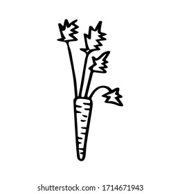 Handdrawn carrot doodle icon. Hand drawn black sketch. Sign symbol. Decoration element. White background. Isolated. Flat design. Vector cartoon illustration. 