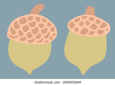 Hand-drawn cartoon acorns. Organic flat icons of forest autumn nature. Vector clipart for creating childrens illustrations of wildlife. Simple soulful pictures of oak seeds by hand. Cute funny doodles