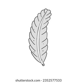 Hand-drawn cartoon bird feather isolated on a white background. Flat design. Vector illustration.