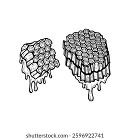 Hand-drawn cartoon sketch of two honeycombs with dripping honey.