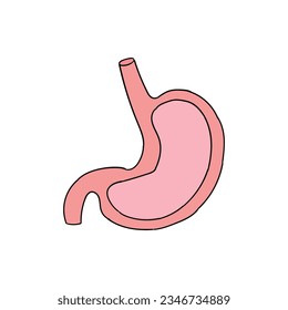 A hand-drawn cartoon stomach isolated on a white background. The concept of health and anatomy. Flat design. Vector illustration.
