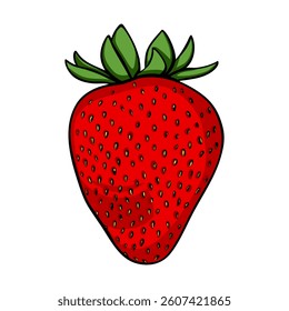 Hand-drawn Cartoon Strawberry Vector Illustration on White Background