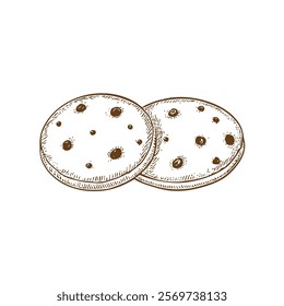 A hand-drawn cartoon-style illustration of a round, sweet cookie. Golden-brown with a soft texture, decorated with chocolate chips, isolated on a white background.