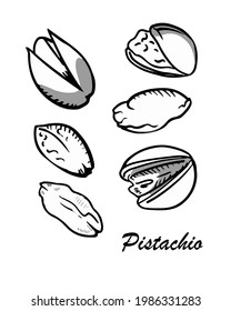 Hand-drawn cashews with shadows. Outline style, ink drawing vector illustration on isolated background.