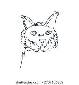 Hand-Drawn Cat Face Line Art Vector