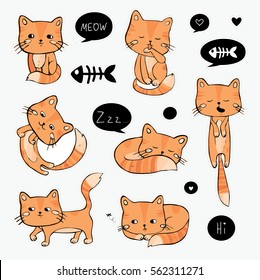  Hand-drawn cat. Lovely kitten. Cute vector set.