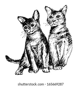 Hand-drawn cat vectors