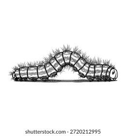 Handgezeichnete Raupe in Kreuzschraffur