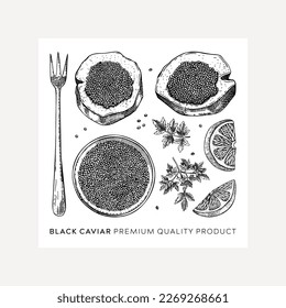 Hand-drawn caviar sketches set isolated on white background. Black caviar in opened tin can, caviar canape, lemons, spices vector drawings. Seafood delicacy illustrations for restaurant or finger food