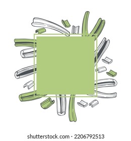 Hand-drawn  celery set.  Vector frame. Sketch  illustration.