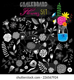 hand-drawn chalkboard flowers set 