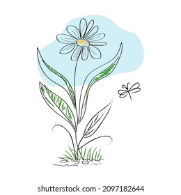 Hand-drawn chamomile on a white background. Decorative element for the design of printed products