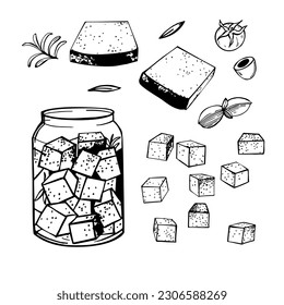 Hand-drawn chees feta. Vector sketch  illustration. 