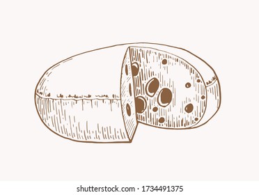 Hand-drawn cheese , sepia background, vector vintage illustration, dairy shop product