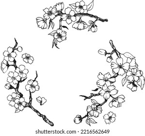 Hand-drawn cherry blossom branch. Illustration in sketch style. Vector spring flowers.