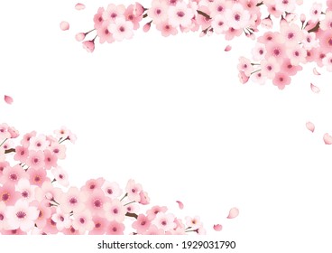 Hand-drawn Cherry Blossom Frame. “white background”